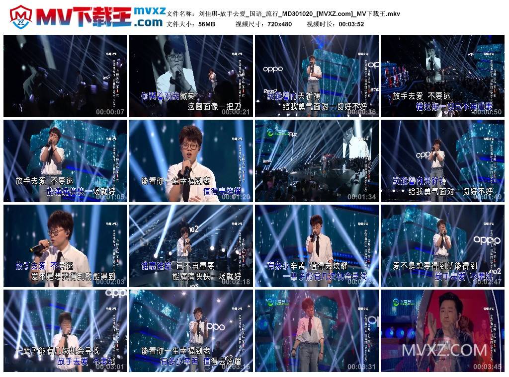 刘佳琪-放手去爱_国语_流行_MD301020